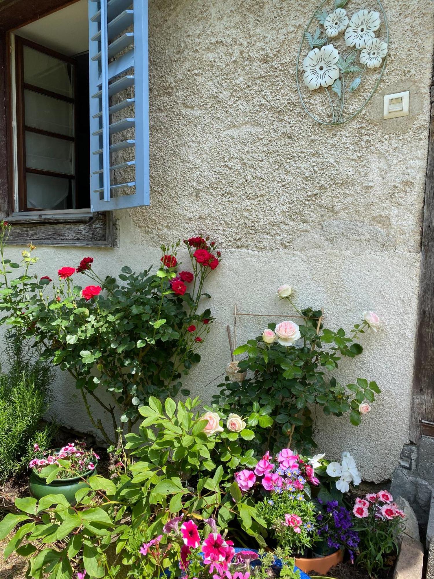 B&B De Charme La Maison Des 5 Temps Ferrette Cameră foto