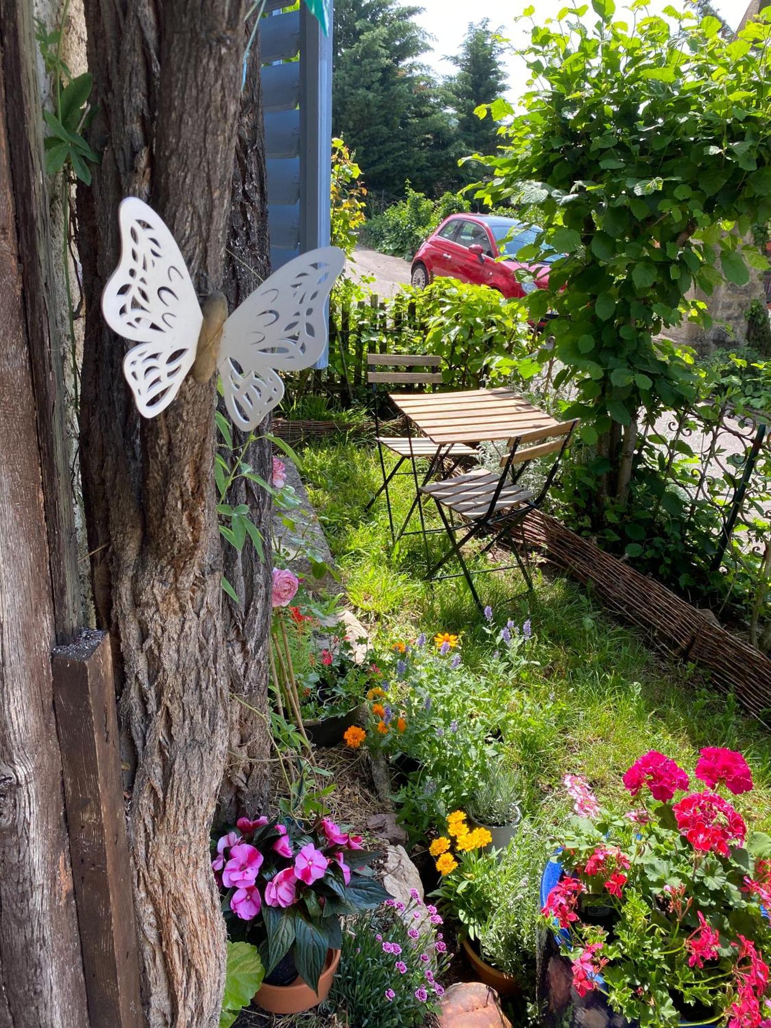 B&B De Charme La Maison Des 5 Temps Ferrette Cameră foto